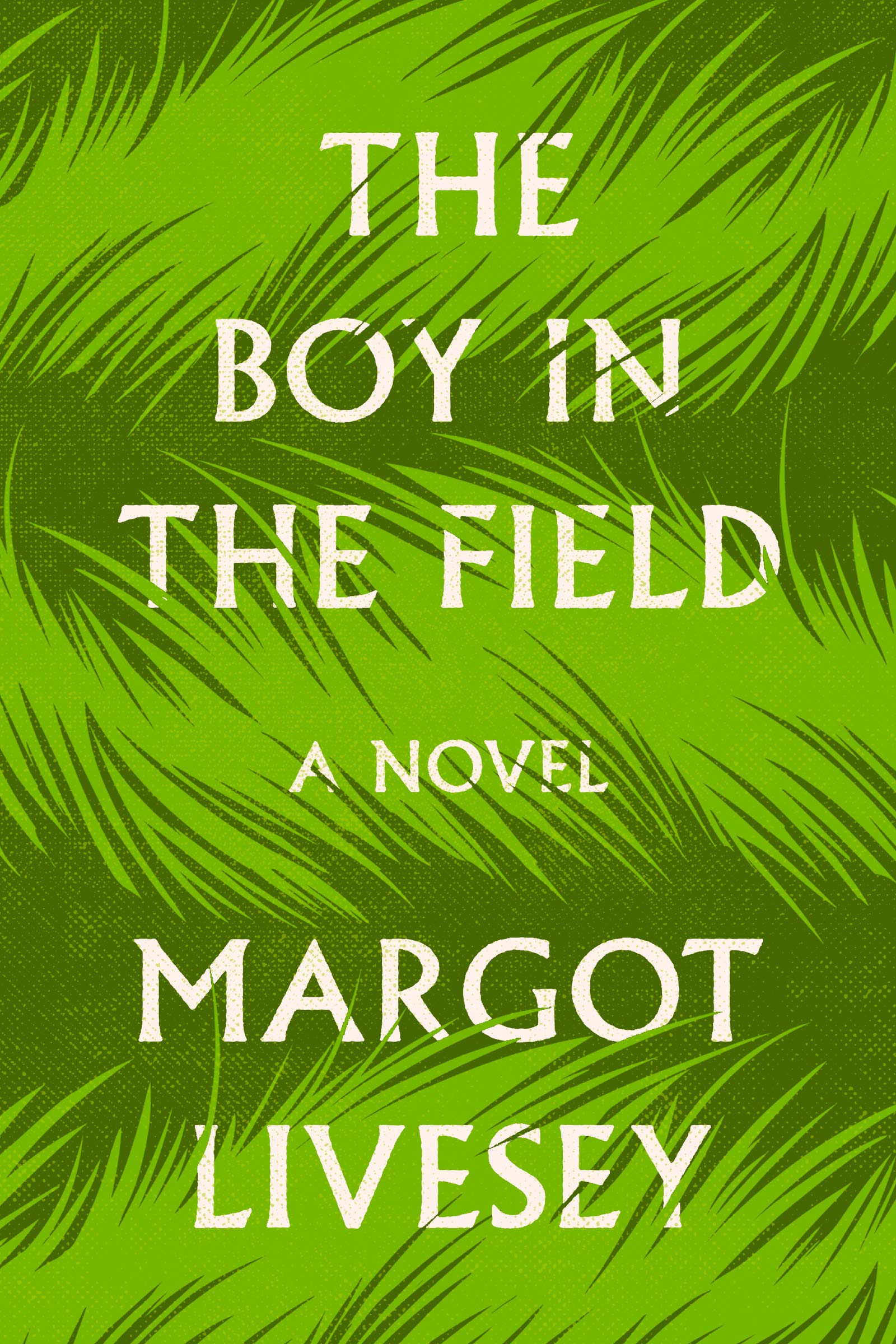 Cover for the book The Boy in the Field