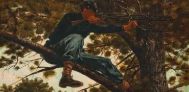 A civil war sharpshooter perched in a tree aiming at the enemy