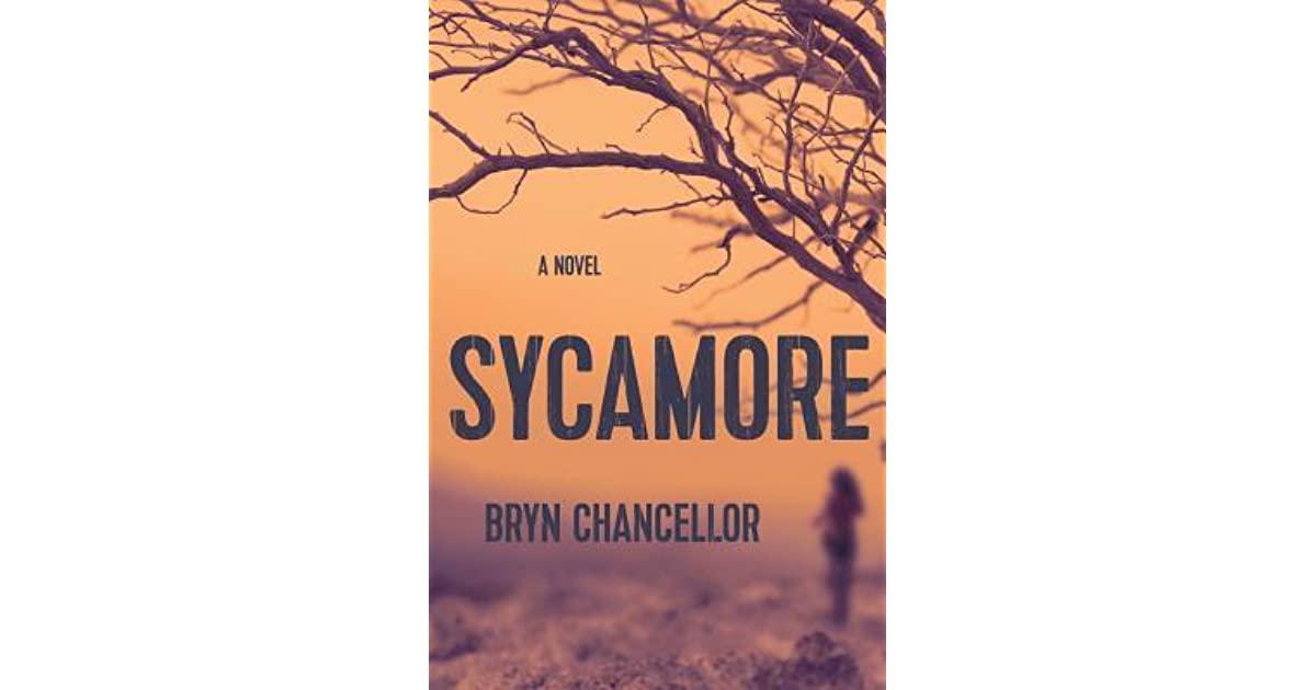 Sycamore by Bryn Chancellor