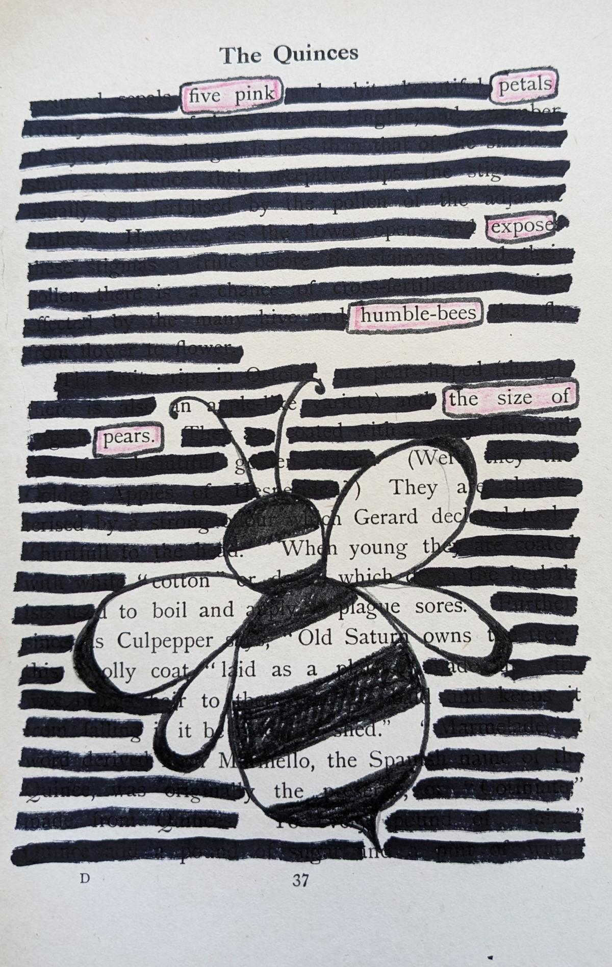 Blackout poem