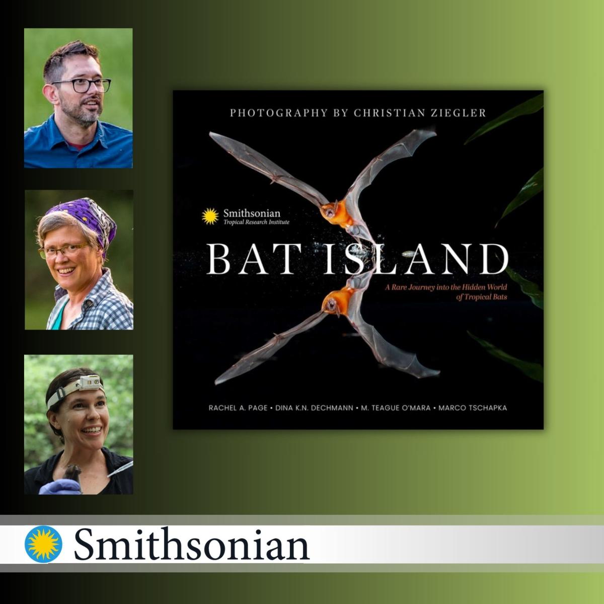 Bat Island 