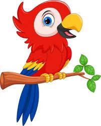 Scarlet macaw sitting on a tree branch