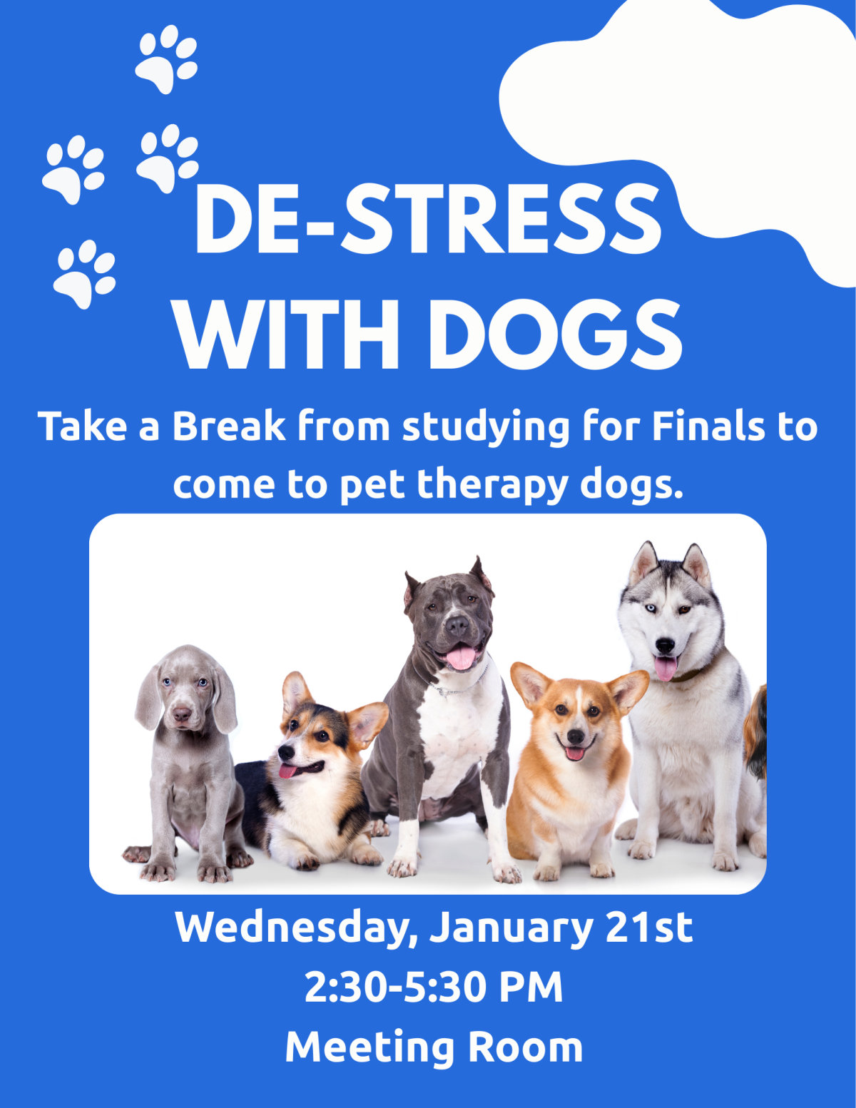 De-stress with Dogs